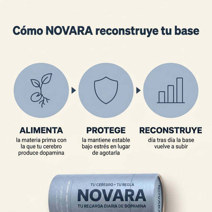 Cómo NOVARA reconstruye tu base: alimenta, protege, reconstruye